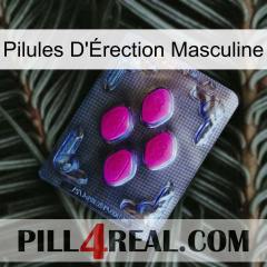 Male Erection Pills 02